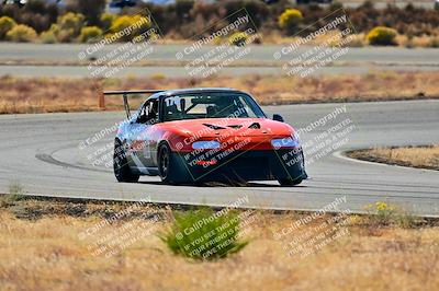 media/Nov-16-2024-Extreme Speed (Sat) [[6587d07cc4]]/Red Group/Session 2 (Turns 3 and 5)/